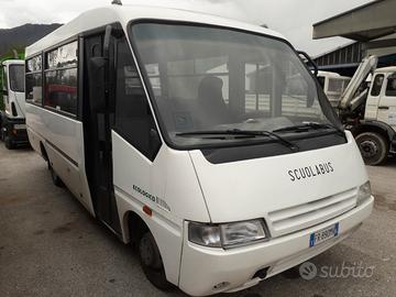 Scuolabus 35 posti elementari medie e materne