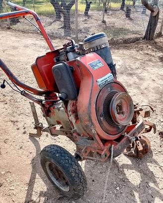 cambio motozappa 