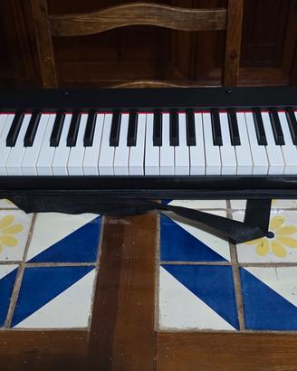 strumenti musicali