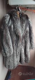 Pelliccia volpe argentata 