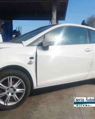 SEAT IBIZA 6J