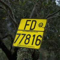 ⚠️ TARGHINO INDISTRUTTIBILE gare FMI enduro⚠️