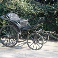 carrozze per cavalli