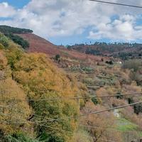 Casa Indipendente a Cetrato (CS)