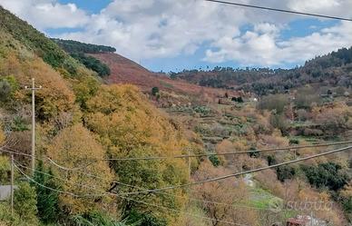 Casa Indipendente a Cetrato (CS)