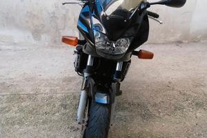 Hornet 600