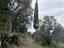 Immagine 12