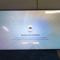 Display professionale Samsung 55 pollici