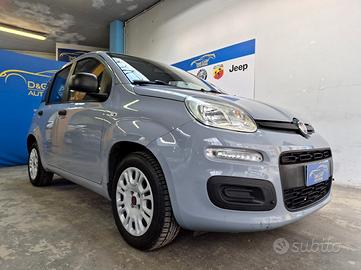 Fiat Panda 1.2 Easy 69cv Unicoproprietario