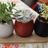 Set 3 vasi + vassoio