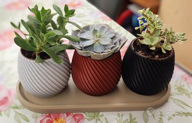 Set 3 vasi + vassoio