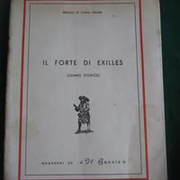IL FORTE DI EXILLES (cenno storico) - Il Bannie