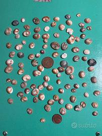 LOTTO 100 OCCHI DI SANTA LUCIA - OPERCOLI