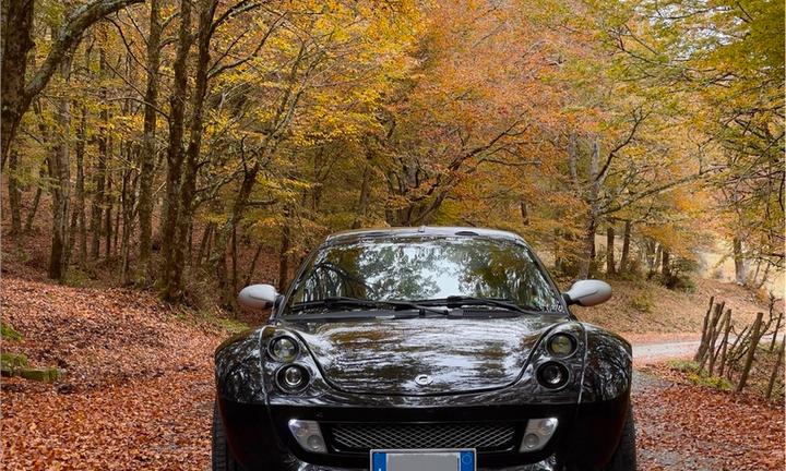 Smart roadster coupe
