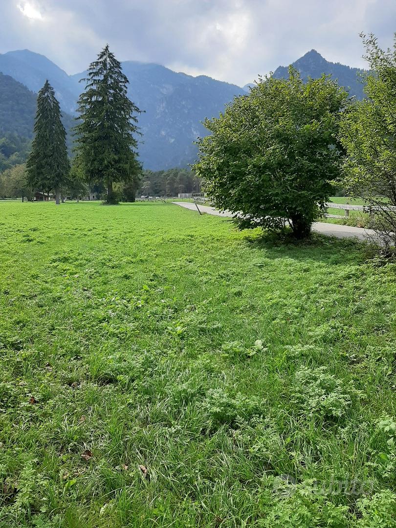 TERRENO AGRICOLO - Vista 3