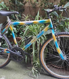 Mountain bike uomo