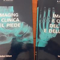 Chevrot testi imaging