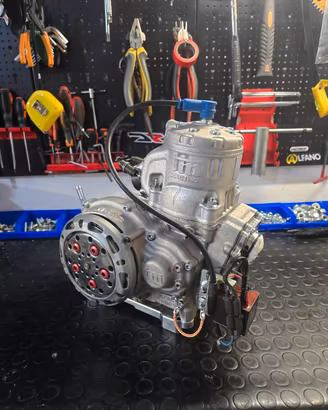 kart 125 kz tm kz10c