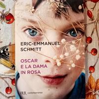 Oscar e la dama in rosa