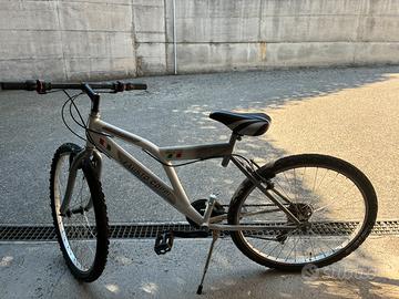 Bicicletta  ragazzo