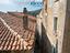 Immagine 11