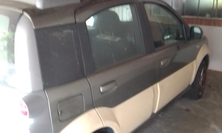 FIAT Panda Cross - 2011