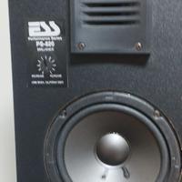 DIFFUSORI ACUSTICI ESS PS-820