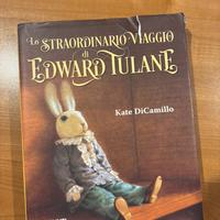 LIBRO DELLO STRAORDINARIO VIAGGIO DI EDWARD TULANE