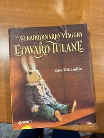 LIBRO DELLO STRAORDINARIO VIAGGIO DI EDWARD TULANE