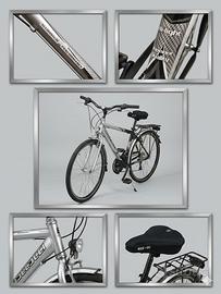 bicicletta leggerissima 