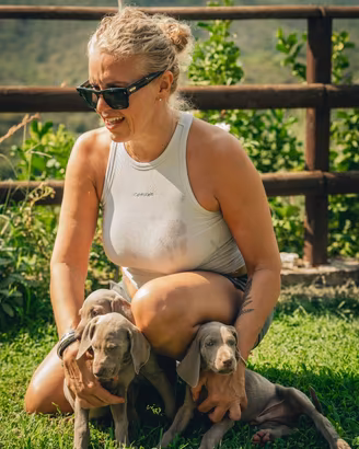 Cucciolata di weimaraner