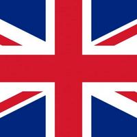 Madrelingua inglese qualificata