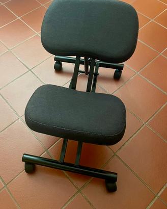 Sedia ergonomica svedese
