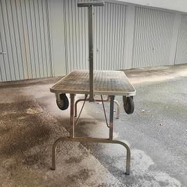 Tavolo toelettatura robusto