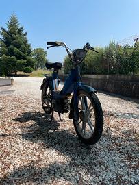 Rizzato Atala Califfo