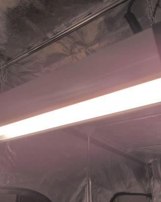 Lampada led Igrox Taurus S 200w