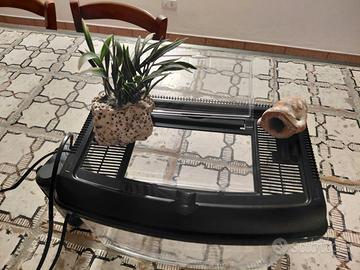 Piccolo axquario co  pompa