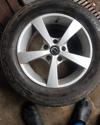 gomme invernali