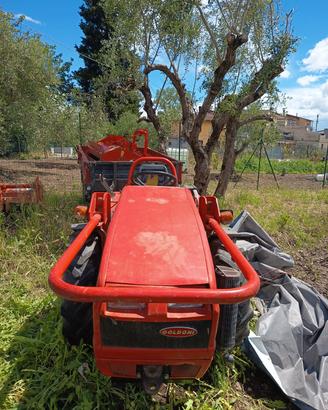 Trattore Goldoni 26CV 
