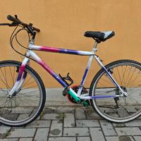 mountain bike raggio 26