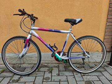 mountain bike raggio 26