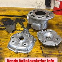 Polini evolution 70 cc pistone sez B