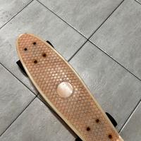 Skateboard Panny