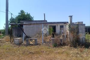 TER. AGRICOLO A MOLA DI BARI