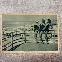 Lotto vecchie cartoline, 3 donne Viareggio