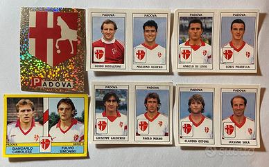 Figurine Panini Calcio Padova 1988/89 - 1989/90 -