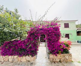 Grazioso appartamento al piano terra