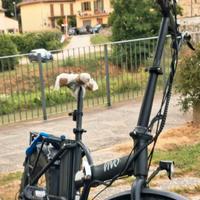 bicicletta 