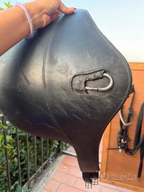 Pararamponi cavallo