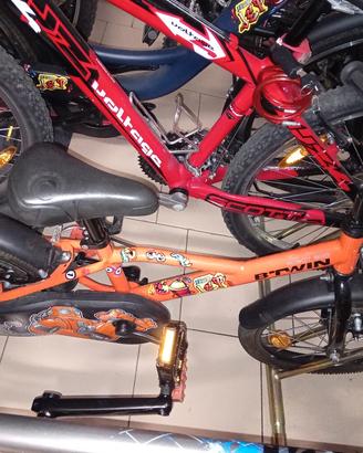 Bici 16  pollici bimbo